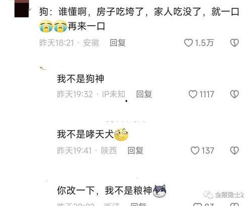 搞笑狗粮评论,搞笑评论大盘点