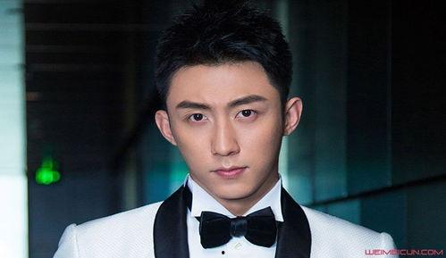 黄景瑜的背景,黄景瑜的成长之路