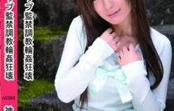 里崎 资料,探寻历史深处的传奇人生